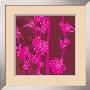 Plum Blossom I by Kate Knight Limited Edition Print