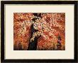 Maple Leaves by Chuankuei Hung Limited Edition Pricing Art Print