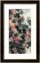 Spring Flowers And Birds by Wanqi Zhang Limited Edition Print