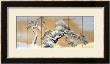 Maruyama Okyo Pricing Limited Edition Prints