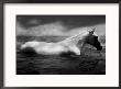 White Horse Swimming by Tim Lynch Limited Edition Print