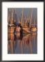 Shrimp Boats Tied To Dock, Darien, Georgia, Usa by Joanne Wells Limited Edition Print
