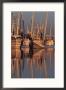 Shrimp Boats Tied To Dock, Darien, Georgia, Usa by Joanne Wells Limited Edition Pricing Art Print