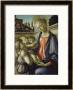 Madonna Of The Stoffe, Florence by Sandro Botticelli Limited Edition Print
