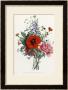 Collection Des Fleurs Et Des Fruits, 1805 by Jean Louis Prevost Limited Edition Print