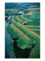 Aerial Of Farm, Fields And River, Hope River, Canada by Jim Wark Limited Edition Print
