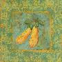 Squash by Margaret Le Van Limited Edition Print