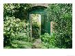 Doorway In Wall Leading To Kitchen Garden Trevarno, Cornwall by Mark Bolton Limited Edition Print