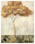 Spice Tree by Fabrice De Villeneuve Limited Edition Pricing Art Print