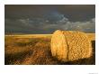 Landscape And Hay Roll In Alberta, Canada by Walter Bibikow Limited Edition Print