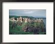 Dunluce Castle On Cliff, Northern Ireland by Pat Canova Limited Edition Print