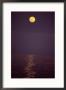 Moonrise, Cabo San Lucas, Baja California, Mexico by Yvette Cardozo Limited Edition Print