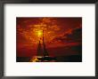 A Silhouette Of A Sailboat On Lake Michigan by Todd Gipstein Limited Edition Print