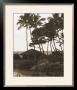 Hut, Palm Trees And Water by Alexis De Vilar Limited Edition Print