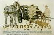Veterinary Corps. U.S. Army by Horst Schreck Limited Edition Print