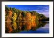 Autumn Trees In New Hampshire, New Hampshire, Usa by Carol Polich Limited Edition Print
