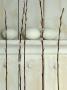 Easter Eggs On Shelf With Pussy Willow Twigs by Achim Sass Limited Edition Print