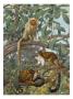 Painting Of Marmosets In The Jungle Canopy by National Geographic Society Limited Edition Print