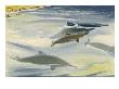 Franciscanas Dolphins Are Found In River Estuaries In South America by National Geographic Society Limited Edition Print