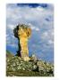 Maltese Cross Rock Formation, Western Cape, South Africa by Roger De La Harpe Limited Edition Print