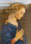 Filippo Lippi Pricing Limited Edition Prints