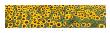 Sunflowers In Tuscany by Alfonso Bietolini Limited Edition Print