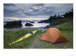 Camping On Spring Island In The Mission Group, Vancouver Island, British Columbia by Mike Tittel Limited Edition Print