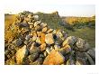 Fortifications Built C. Ad 1200 Rebuilt By The Venda People C. 1820, Mashatu Game Reserve, Botswana by Roger De La Harpe Limited Edition Print