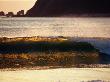 Back Lit Wave Off Inishowen, Ireland by Gareth Mccormack Limited Edition Print