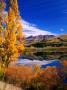 Lake Hayes Near Arrowtown, New Zealand by David Wall Limited Edition Print