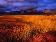 Mission Mountains At Sunset In The Flathead Indian Reservation, Montana, Usa by Gareth Mccormack Limited Edition Print
