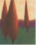 Poplar Trees At Daybreak by Karen Jones Limited Edition Pricing Art Print
