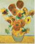 Fifteen Sunflowers by Vincent Van Gogh Limited Edition Print