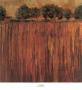 Horizon Line With Trees Ii by Elizabeth Jardine Limited Edition Print