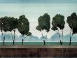 Six Trees by Robert Charon Limited Edition Print