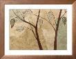 Foliage I by Susan Osborne Limited Edition Pricing Art Print