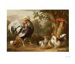 Poultry And Other Birds In The Garden Of A Mansion by Jacob Bogdany Limited Edition Pricing Art Print