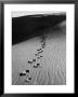 Footprints On Sand Dunes Of North Carolina Beach by Fritz Goro Limited Edition Print