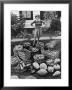 Woman Looking At Victory Garden Harvest Sitting On Lawn, Waiting To Be Stored Away For Winter by Walter Sanders Limited Edition Print