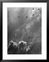 B26 Marauders With Special D Day Markings Over Beaches Of Cherbourg by Frank Scherschel Limited Edition Print