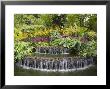 National Orchid Garden In Botanic Gardens, Singapore, Southeast Asia by Pearl Bucknall Limited Edition Print