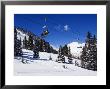 Chair Lift Carries Skiers At Alta, Alta Ski Resort, Salt Lake City, Utah, Usa by Kober Christian Limited Edition Print
