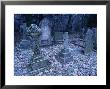 Frost On Headstones And Gravestones In A Graveyard At Ossington, Nottinghamshire, England by Mawson Mark Limited Edition Print