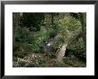 Bodnant Gardens, Gwynedd, North Wales, Wales, United Kingdom by Roy Rainford Limited Edition Pricing Art Print