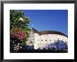 The Globe Theatre, Bankside, London, England, United Kingdom by Mark Mawson Limited Edition Print