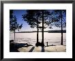 Lake Maridal (Maridalsvannet), Oslo's Reservoir, Oslo, Norway, Scandinavia by Kim Hart Limited Edition Print
