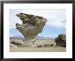 Arbol De Piedra, Wind Eroded Rock Near Laguna Colorada, Southwest Highlands, Bolivia, South America by Tony Waltham Limited Edition Print