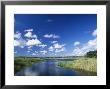 View From Riverbank Of White Clouds And Blue Sky, Myakka River State Park, Near Sarasota, Usa by Ruth Tomlinson Limited Edition Print