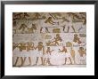 Depictions Of Everday Life, Tomb Of Renhuire, Thebes, Egypt by Richard Ashworth Limited Edition Print