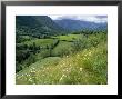 Valley Of The River Berthe Near Accous, Bearn, Pyrenees, Aquitaine, France, Europe by David Hughes Limited Edition Print
